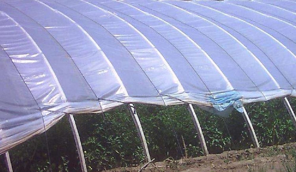We are one of the most reliable polythene sheet manufacturers in Johannesburg